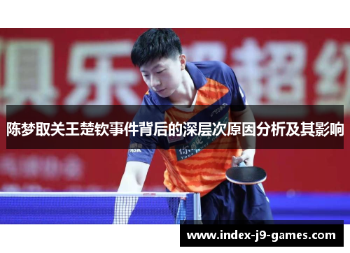 陈梦取关王楚钦事件背后的深层次原因分析及其影响