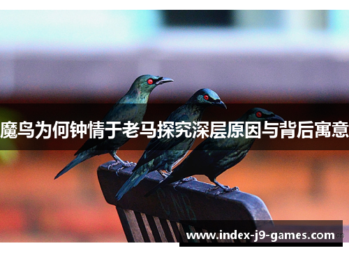 魔鸟为何钟情于老马探究深层原因与背后寓意