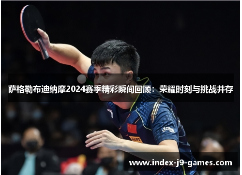 萨格勒布迪纳摩2024赛季精彩瞬间回顾：荣耀时刻与挑战并存