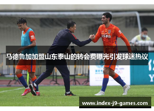 马德鲁加加盟山东泰山的转会费曝光引发球迷热议